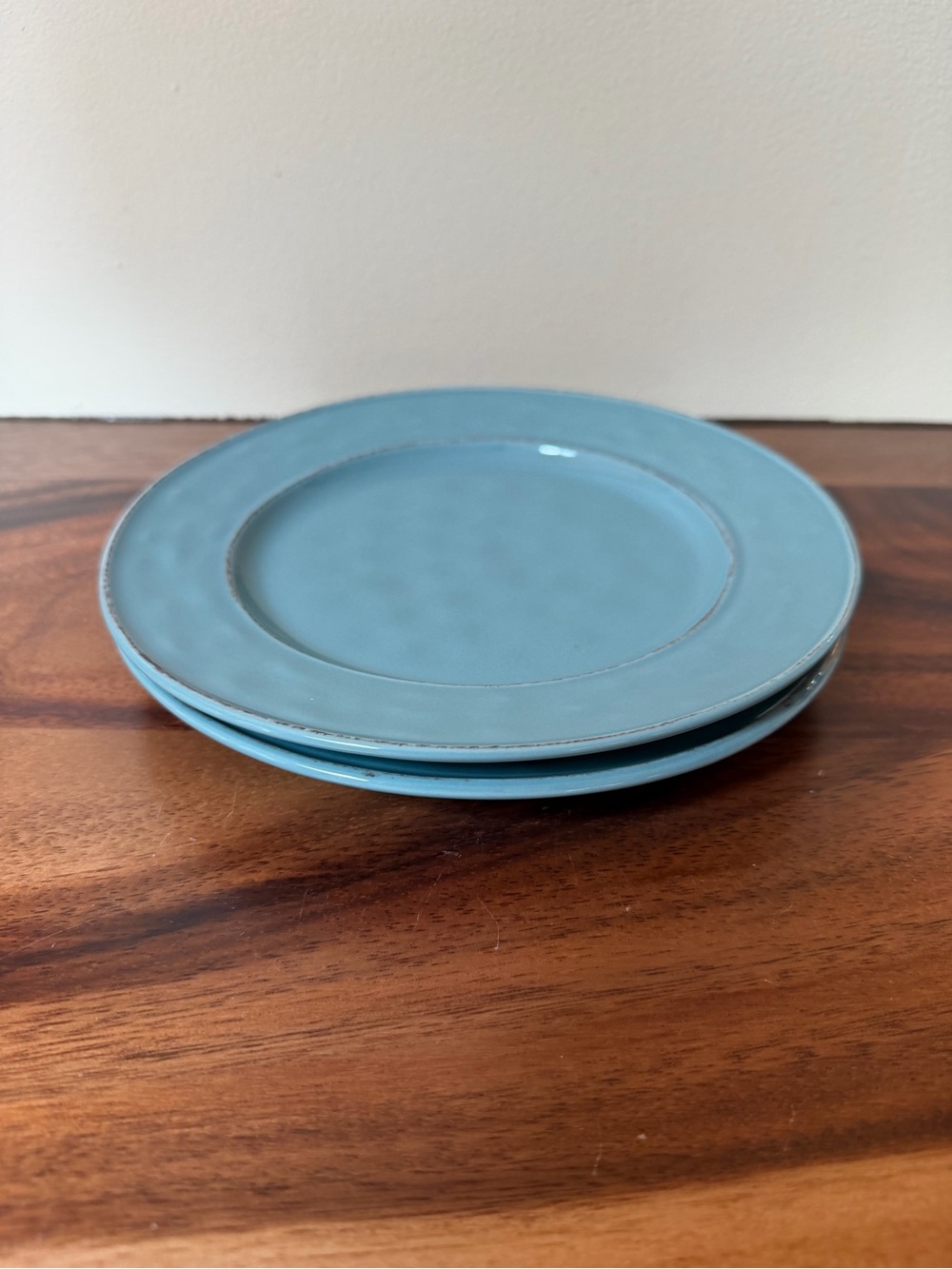 Pier 1 Blue Ceramic Dinner Plates - Set of 2